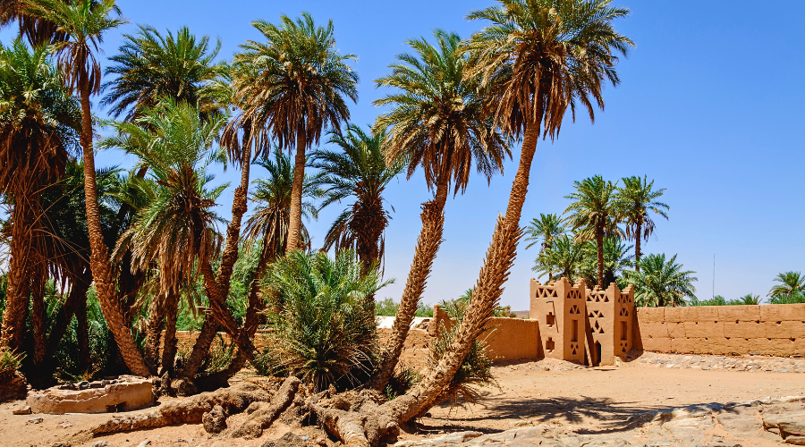 3-daags woestijnavontuur Marrakesh naar Erg Chebbi