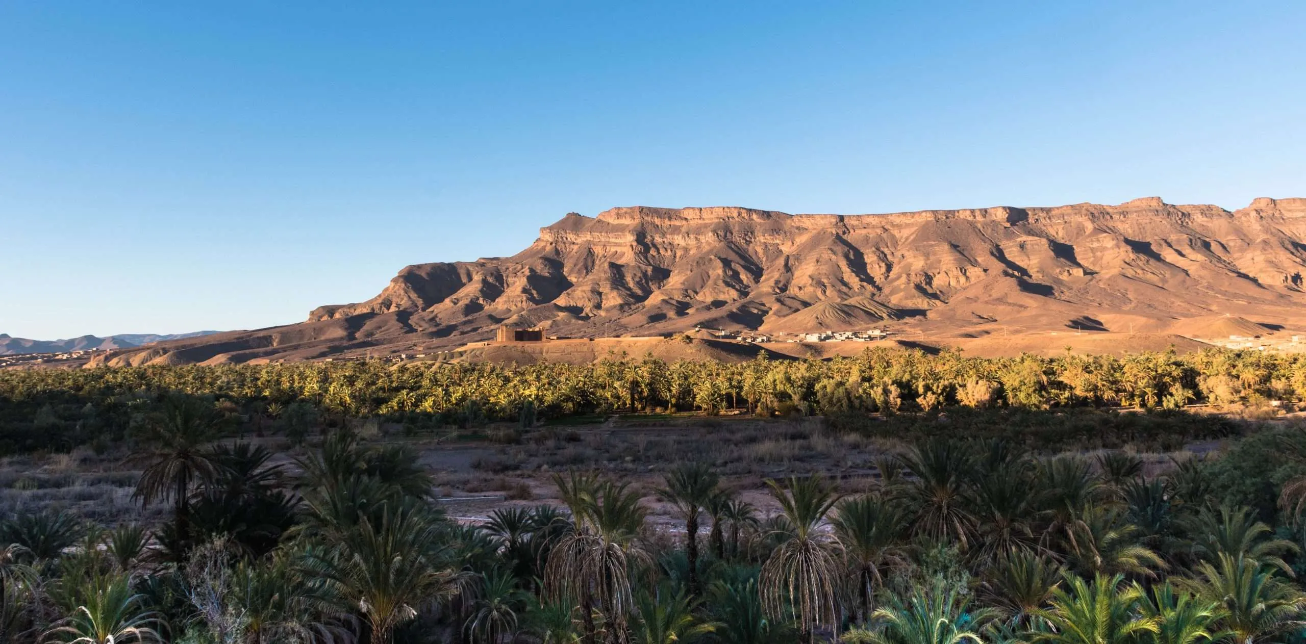 Op avontuur in de woestijn van Zagora: Een betoverende kamelentocht
