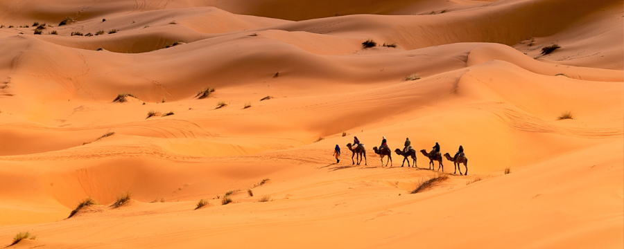 3-Day Desert Tour from Marrakech to Fes