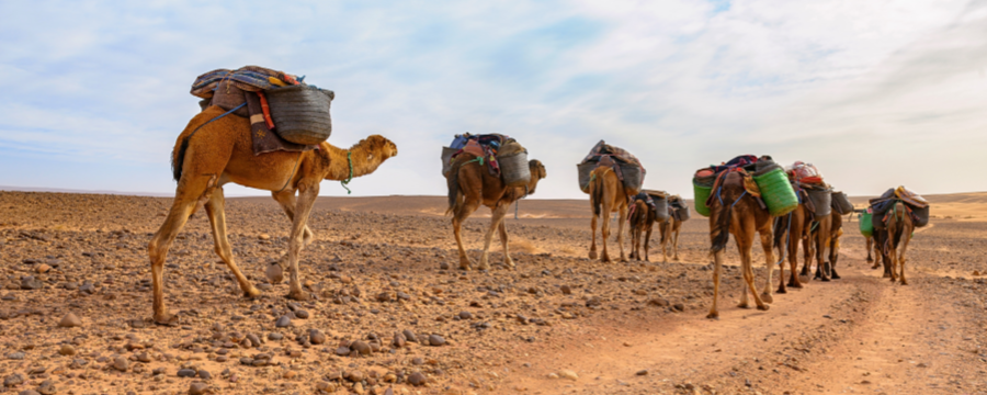 3-Day Desert Tour from Marrakech to Fes