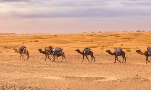 3-daagse tour naar de Erg Chigaga-woestijn vanuit Marrakech