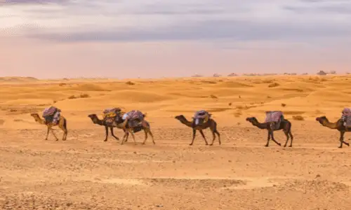 3-daagse tour naar de Erg Chigaga-woestijn vanuit Marrakech