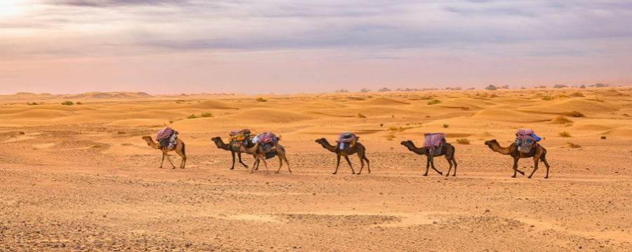 3-daagse tour naar de Erg Chigaga-woestijn vanuit Marrakech