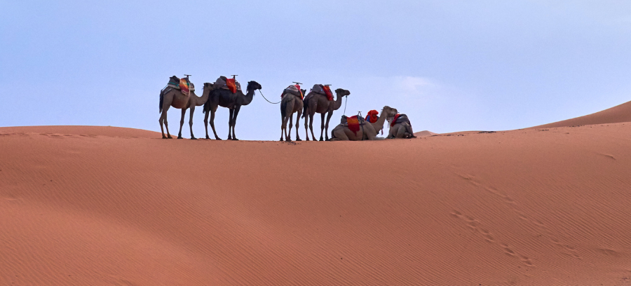 8-daagse Reis vanuit Marrakech door de Woestijn