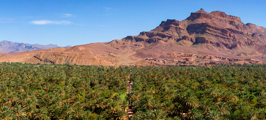 8-daagse Reis vanuit Marrakech door de Woestijn
